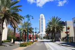 Magnolia Avenue a Orlando, Florida - Scorcio panoramico su Magnolia Avenue, bel viale alberato con palme, su cui si erge un imponente edificio postmoderno © Carl Stewart / Shutterstock.com ...