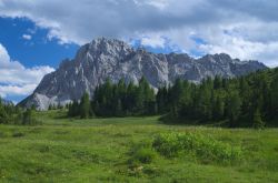 Massiccio dolomitico vicino a Sappada, Veneto - Le pareti rocciose delle Dolomiti per via del colore chiaro sono anche note come "monti pallidi": al tramonto, quando vengono illuminate ...