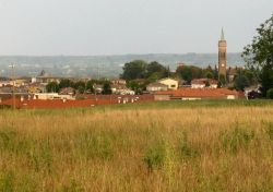 La cittadina di Medesano si trova nelle campagne a sud-ovest di Parma, in Emilia Romagna - © Toni Pecoraro, Wikipedia