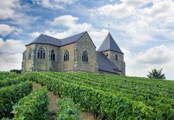 Mont-Felix, la chiesa fra i vigneti vicino a Epernay, Francia.
