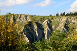 Morfologia del terreno nelle Crete senesi a Asciano, Toscana. Fra le tipiche conformazioni di questo territorio ci sono calanchi e biancane - © Paolo Trovo / Shutterstock.com