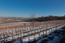 Neve sui vigneti che circordano Nizza Monferrato in Piemonte