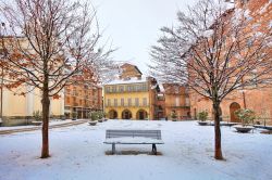 Nevicata in centro a Alba, Piemonte, Italia - © Rostislav Glinsky / Shutterstock.com