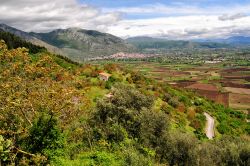 Paesaggio bucolico a Venafro, valle Venafrana, Molise. Foliage autunnale per la vegetazione nei dintorni della cittadina in provincia di Isernia.
