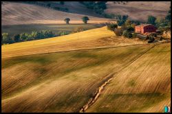Paesaggio collinare nei dintorni di Moie nelle Marche - © Emi Delli Zuani, CC BY 3.0, Wikipedia