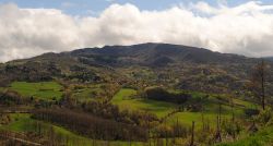 Paesaggio dell'Alpe di Monghidoro - © Rodrigotebani - CC BY-SA 3.0, Wikipedia