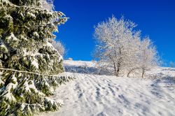 Paesaggio innevato a Winterberg, Germania. Siamo nel territorio della Renania Settentrionale-Vestfalia. Il periodo migliore per una vacanza qui è l'inverno quando tutto si riveste ...