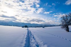 Paesaggio invernale con la neve nelle campagne di Murnau am Staffelsee, Germania.
