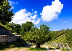 Paesaggio naturale nei dintorni di Rometta in Sicilia