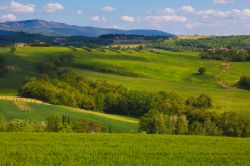 Paesaggio rurale nei pressi della cittadina di Todi, Umbria. Questa località fa parte della Comunità Montana Monte Peglia e Selva di Meana.

