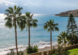 Palme sulla spiaggia di Pissouri, Cipro. Fra vegetazione e mare cristallino sembra di essere su un'isola tropicale.

