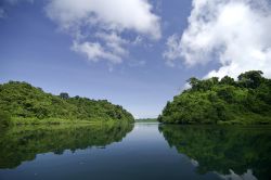 Palude di mangrovie al Parco Nazionale Coiba, Panama. L'area si trova nella provincia di Veraguas, Oceano Pacifico. E' considerato uno degli ultimi paradisi naturali incontaminati.




 ...