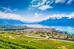 Panorama aereo della città di Vevey sul lago di Ginevra, Svizzera. In primo piano i vigneti a terrazza di Lavaux, un'area di 830 ettari patrimonio mondiale Unesco dal 2007. Qui si ...