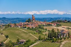 Panorama collinare del Piemonte centrale, sullo sfondo le Alpi Occidentali