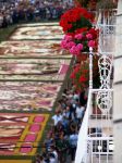 Panorama dell'Infiorata del Corpus Domini da un balcone di via Belardi a Genzano Romano