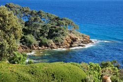 Panoramica primaverile sui giardini a Rayol-Canadel-sur-Mer, Francia - © Pack-Shot / Shutterstock.com