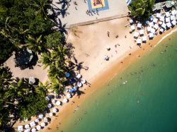 Paradise Beach, isola di Anguilla, vista dall'alto. Sdraio e ombrelloni accolgono i turisti che scelgono questo angolo di paradiso alla ricerca del relax.
