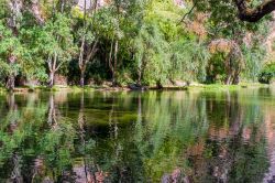 Parco Naturale del Monastero di Pietra, Nuevalos: uno specchio d'acqua circondato dalla foresta (Spagna).
