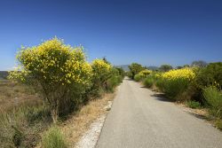 Parco regionale della Maremma nei pressi di Alberese in Toscana