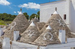 Particolare dei tetti conici dei trulli di Alberobello, Puglia. Patrimonio mondiale dell'Umanità dal 1996, queste costruzioni fatte di pietra a secco erano un tempo ricoveri temporanei ...
