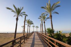 Passeggiata in legno fra le palme sulla spiaggia Els Terrers a Benicassim, Spagna.
