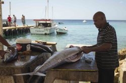 Un pescatore pulisce un grosso pesce a Playa Grandi, Curacao, Antille olandesi. Questa piccola spiaggia di pescatori è celebre anche per le immersioni. L'accesso all'acqua è ...