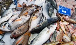 Pesce fresco in vendita al mercato di Sanary-sur-Mer, Francia - © timsimages.uk / Shutterstock.com