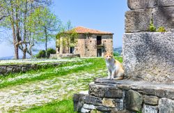 Roscigno, Campania: il quartiere abbandonato di Roscigno Vecchia, borgo fantasma del CIlento