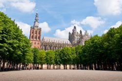 San Giovanni è il santo a cui è dedicata la splendida cattedrale di Den Bosch. Si tratta del più celebre edificio in stile gotico brabantino a livello nazionale - foto © ...