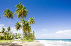 Sauteurs Bay a Grenada, America Centrale. Questa splendida baia deve il suo nome a un triste episodio avvenuto nel 1651 quando gli ultimi indigeni caraibici si suicidarono lanciandosi in acqua ...