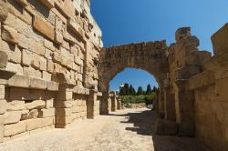 Immagine che mostra gli scavi antichi e archeologici di Tindari (Sicilia) - Un po' perché per il settore dell'archeologia l'esempio di Tindari rappresenta un valido metro ...