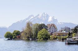 Scorcio panoramico di Weggis, Svizzera. Questa piccola e graziosa stazione di villeggiatura si trova a 435 metri di altitudine sulle rive del Lago dei Quattro Cantoni e ai piedi della famosa ...
