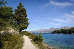 Un sentiero lungo la costa dell'Adriatico nei pressi della cittadina di Cavtat (Ragusa Vecchia, Croazia).
