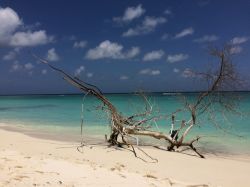 Spiaggia a Kadmat, arcipelago delle Laccadive (Lakshadweep), Oceano Indiano