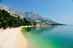 Spiaggia di Brela in Dalmazia, Croazia. Considerata una delle spiagge più belle al mondo, sulla parte occidentale ospita la roccia di Brela, un masso ricoperto di pini che crescono fieri ...