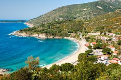 Fotografata dall'alto la spiaggia di Cavoli appare in tutto il suo splendore grazie al contrasto fra l'acqua azzurro cristallino, il verde della vegetazione della macchia mediterranea ...