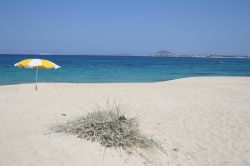 Spiaggia di Mikri Vigla a Naxos, Grecia - Un ombrellone bianco e giallo sulla spiaggia di Mikri Vigla a Naxos. Lambito dalle acque del mar Egeo, questo tratto di costa è famoso per la ...