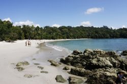 Una bella spiaggia nel Parco Nazionale Manuel Antonio del Costa Rica - © Timur Kulgarin / Shutterstock.com