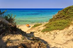 Spiaggia selvaggia nei pressi di Torre Guaceto in Puglia