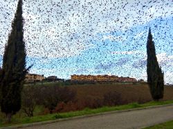Uno stormo di uccelli durante la migrazione nei cieli di San Casciano in Val di Pesa, Toscana.

