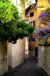 Una stradina del centro storico di Nago, provincia di Trento, con alberi e glicine in fiore.

