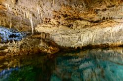 Una suggestiva grotta sotterranea a Bermuda. Stalattiti e stalagmiti impreziosiscono questa cavità naturale, una delle tante che si possono ammirare nel territorio di Hamilton.



 ...