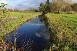 Tipico paesaggio agreste nei pressi di Wierden, Olanda. Si tratta di un villaggio situato nella regione di Overijssel.
