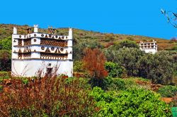Tradizionali colombaie nel villaggio di Tarambados sull'isola di Tino, Cicladi, Grecia. Chiamate anche piccionaie, sono piccoli edifici dove nidificano le colombe di Tinos che per i greci ...