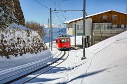 Treno a cremagliera sul monte Rigi a Rigi Kaltbad, Lucerna, Svizzera. Questo grazioso villaggio sorge sulle pendici del monte Rigi a un'altitudine di 1440 metri sul livello del mare.



 ...