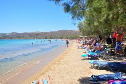 Turisti sulla spiaggia greca di Fanari in estate, Antiparos (Cicladi) - © sangriana / Shutterstock.com