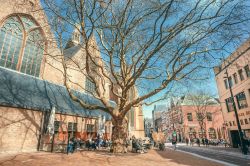 Un albero spoglio davanti a un caffé all'aperto e alla chiesa Nieuwe Kerk a L'Aia, Olanda - © Radiokafka / Shutterstock.com