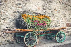 Un carro colmo di fiori per le strade di Pellizzano in Trentino