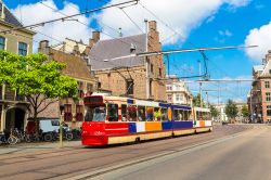 Un colorato tram cittadino a L'Aia (Olanda) in una giornata estiva con il sole.


