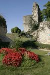 Un giardino tra le rovine del Castello di Domfront, in Francia.
